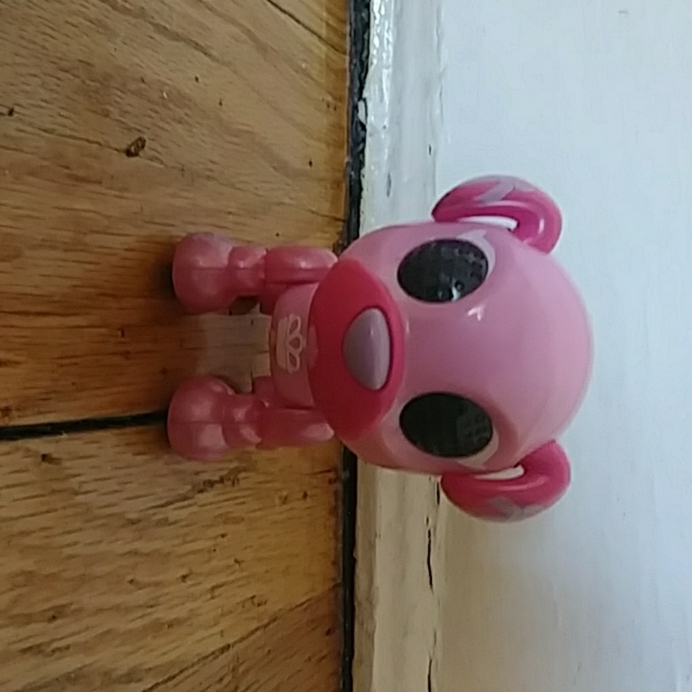 A puppy to play with